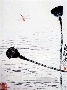 Qi Baishi libélula y loto chino tradicional Pinturas al óleo